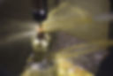 845A2978.jpg