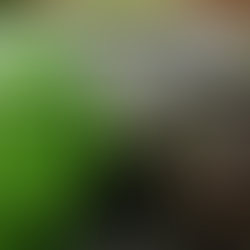 Android gets its savior! Snapdragon 8 Gen 2 a giant leap, beats iPhone 14 Pro Max in gaming performa