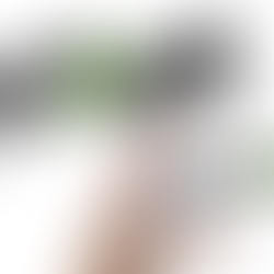 MVNO Spotlight: Cricket Wireless