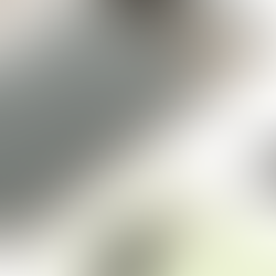 Google Pixel 7 preview: Our expectations