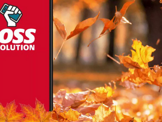 MVNO Spotlight: Boss Revolution