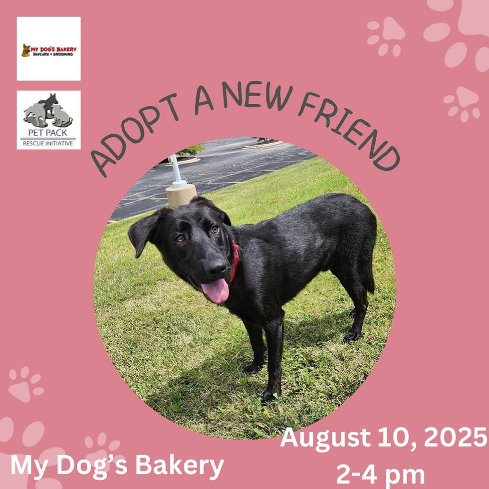 Outreach @ My Dogs Bakery August