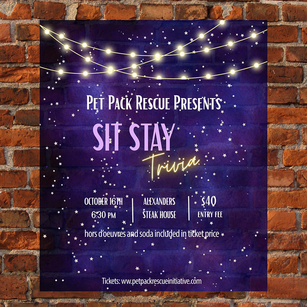 Sit Stay Trivia