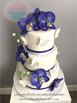 wedding cake orchid