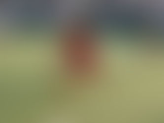 ヤマトとグリーン