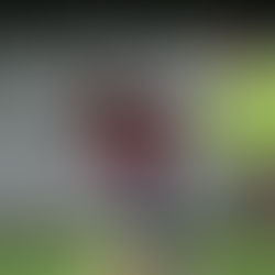 プレー連続性の最適化