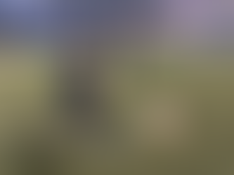 上手くなるより大切なこと