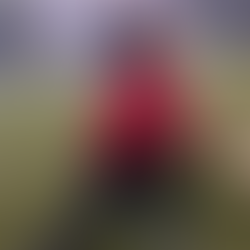 フィジカルパフォーマンスから