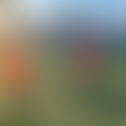 フィジカルは必要不可欠