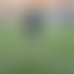 ディフェンスを知る