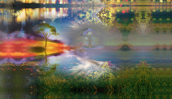 Sacred Branches