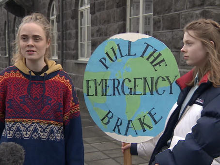 News from Fridays for Future Iceland, we will stop protesting in a group. For now.
