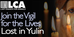 Yulin Vigil