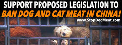 Dog Meat Legislation