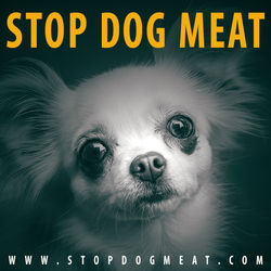StopDogMeat