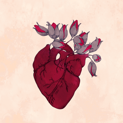 Heart pumps blood & life!