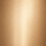 ChatGPT Image Jul 22, 2026, 09_51_17 AM.png