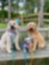 IMG_6371.jpeg