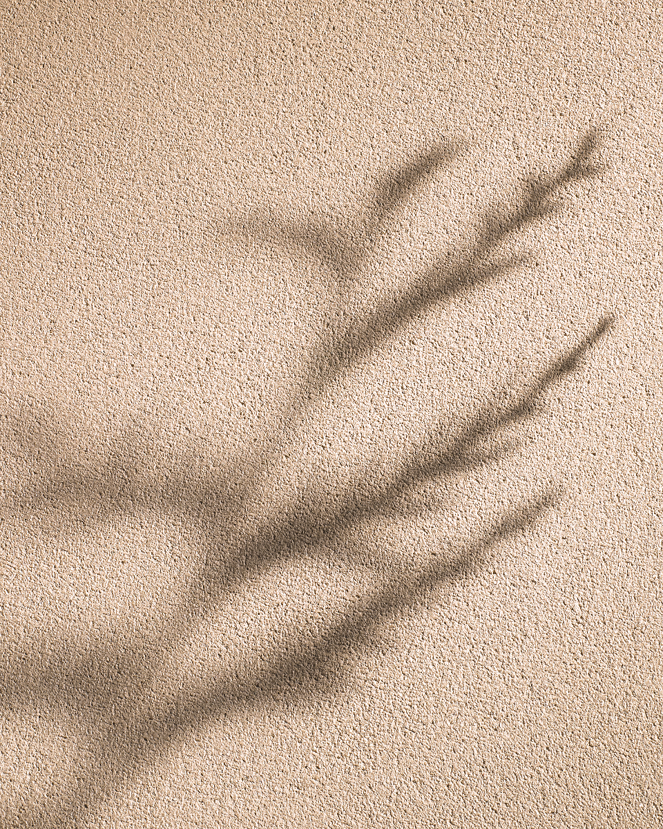 Enjarre Texture - Magnoliacopy.tif