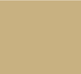 519 Golden