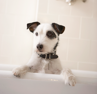 Having a Bath
