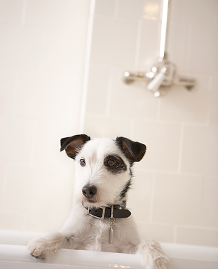 Having a Bath