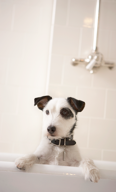 Having a Bath