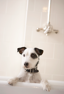 Having a Bath