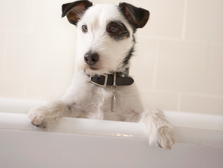 Having a Bath