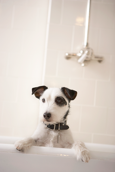 Having a Bath