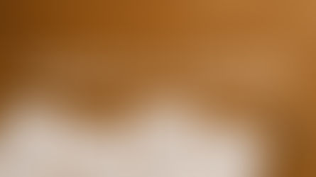 The Ultimate Guide to DIY Campervan Furniture (2026)