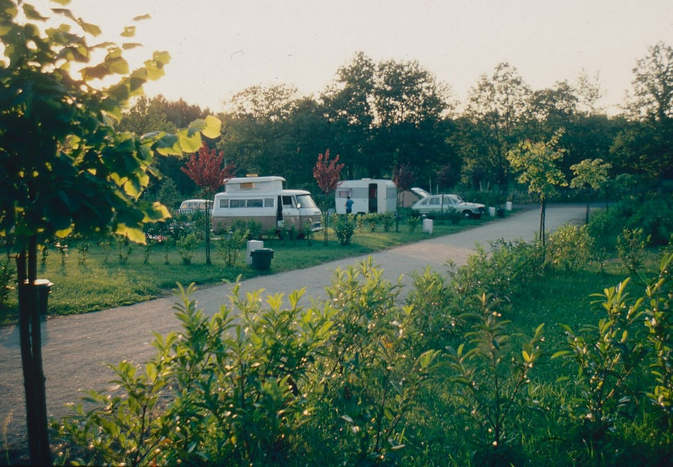 Campers parked in a green, leafy campsite