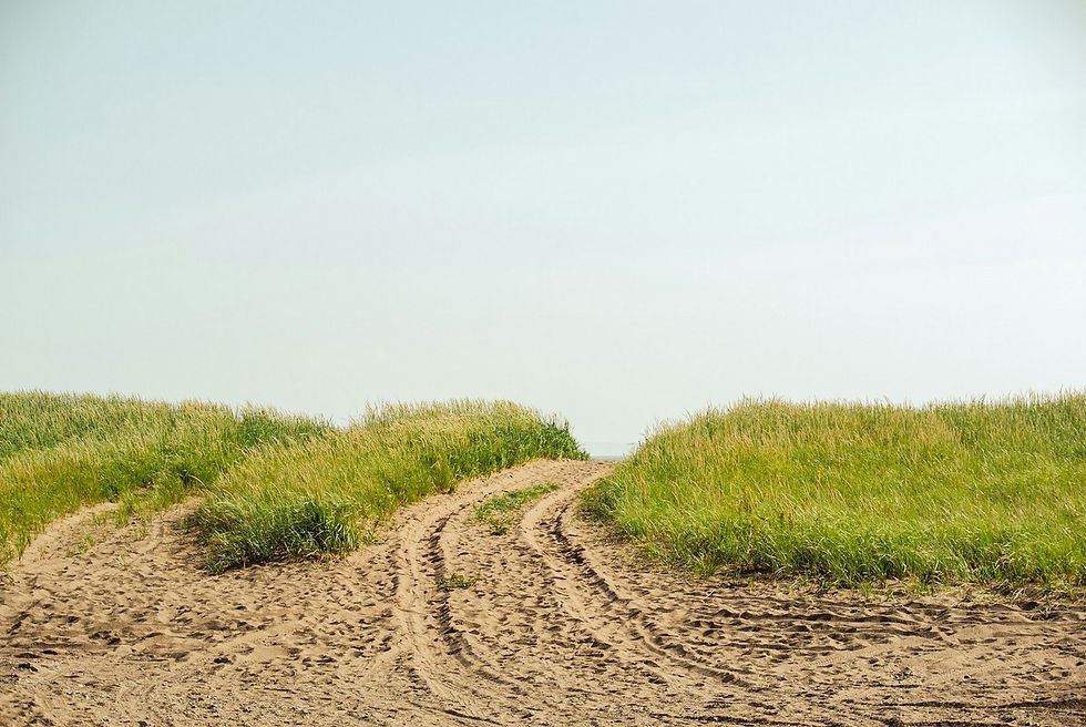 Van tracks disappearing into the sand dunes