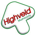 logo.gif