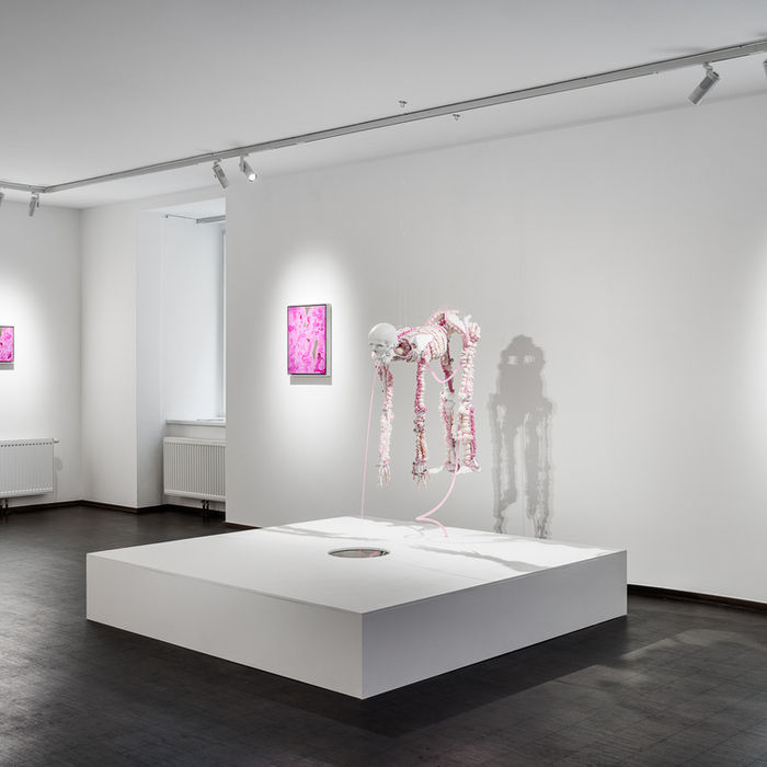 Kata oelschlägel Barvinskyi Art Gallery a gentle cut 2024 joseph sakoilsky Paint spatter analysis