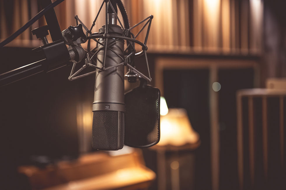 U87 Neumann Mikrofon