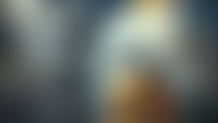 AI Painter Phot.AI Tool to create artistic images and cartoons