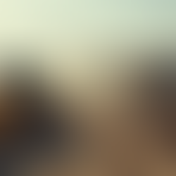 Procore AI Tools For Project Management