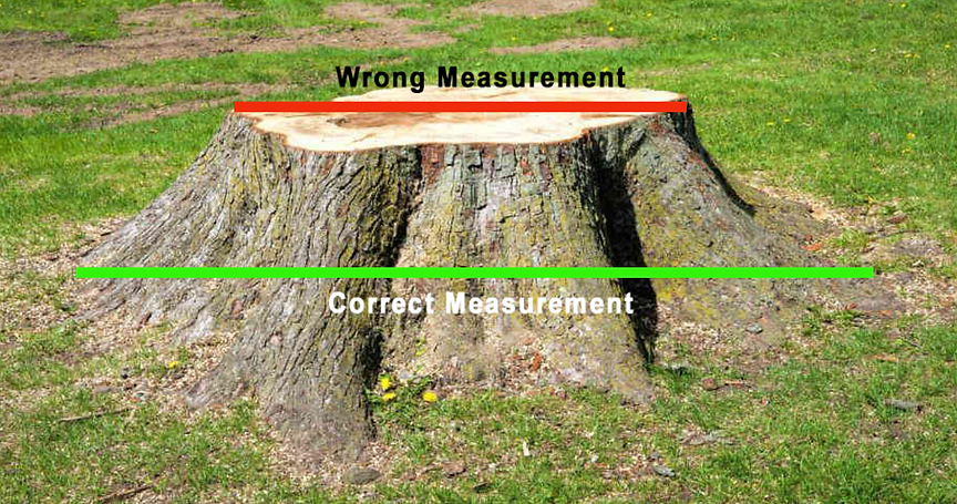 Stump-Measurement-Diagram.png