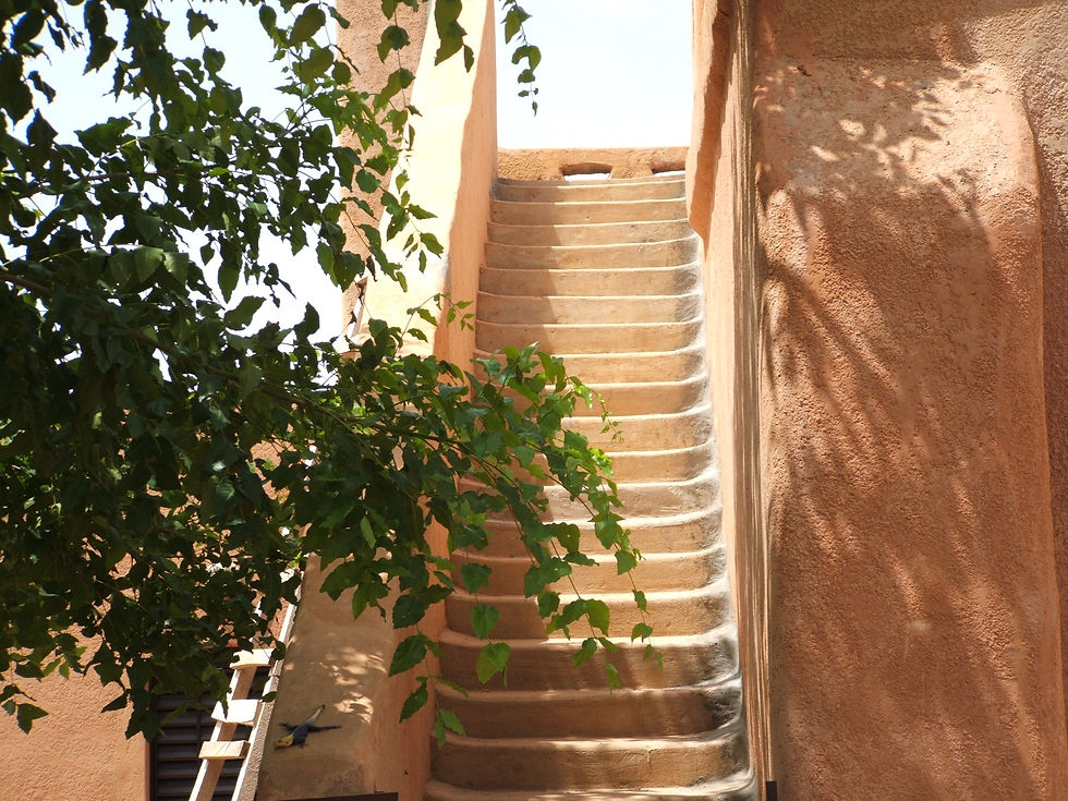 DSCF2134