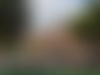 Faculdade de Medicina da Ufba completa 217 anos de história