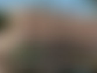 Turma de 1974 da Ufba celebra 50 anos de medicina