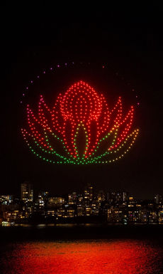 Drone Light Shows
