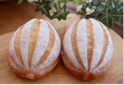 コンポタハース