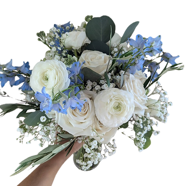 Untitled design (17)_edited.png