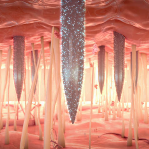 Nutromics_neeldes2.png