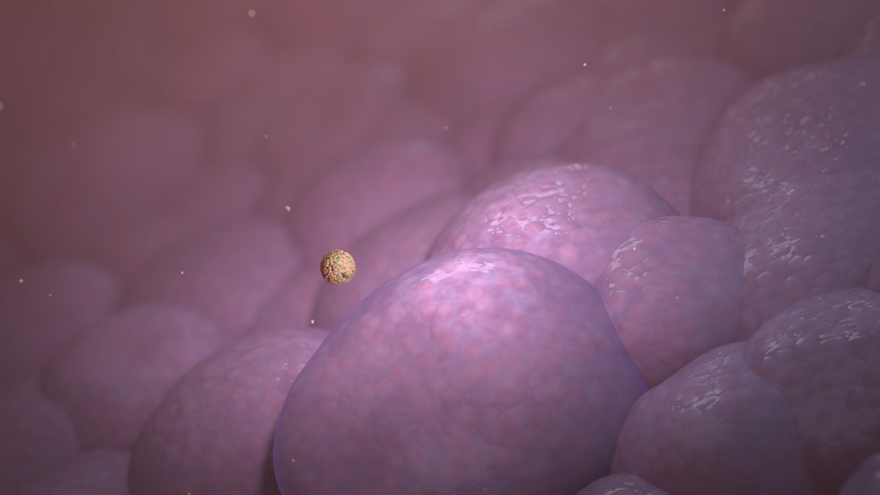 whatismRNA_still_04.png