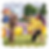 wonder-dogs-photo.png