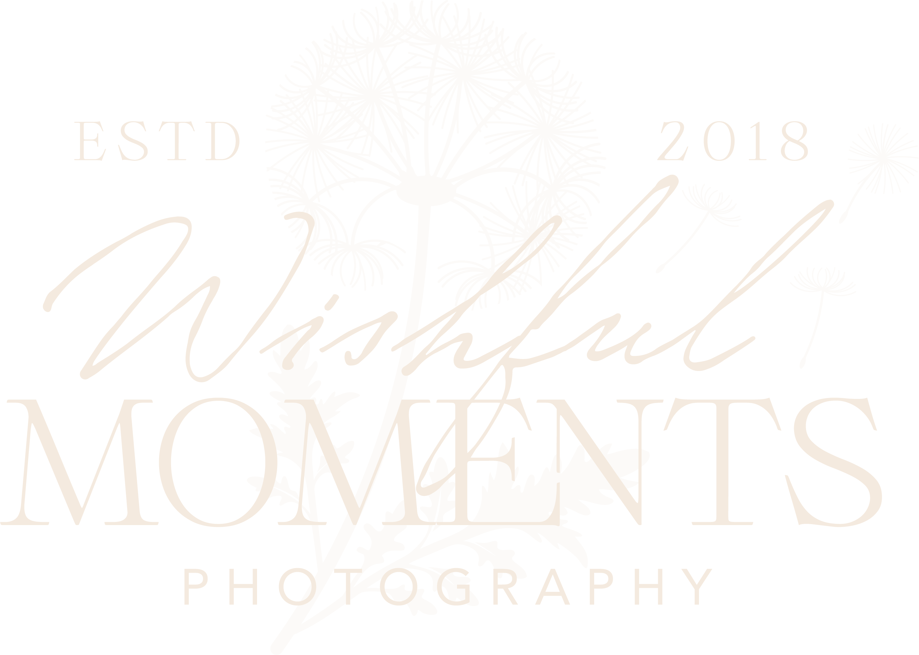 wishful-moments-photography-cream.png