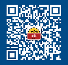 20260603091646_42_10.png